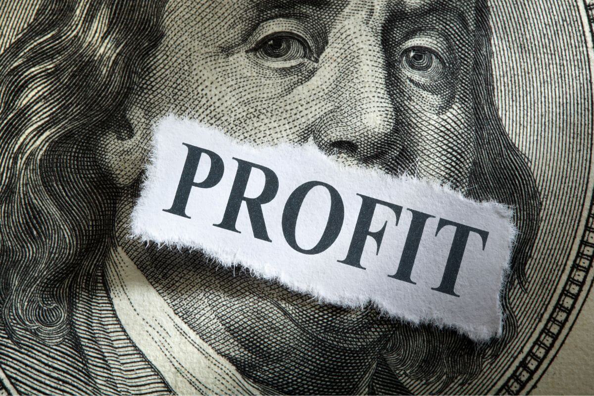 An image shows profit wording.