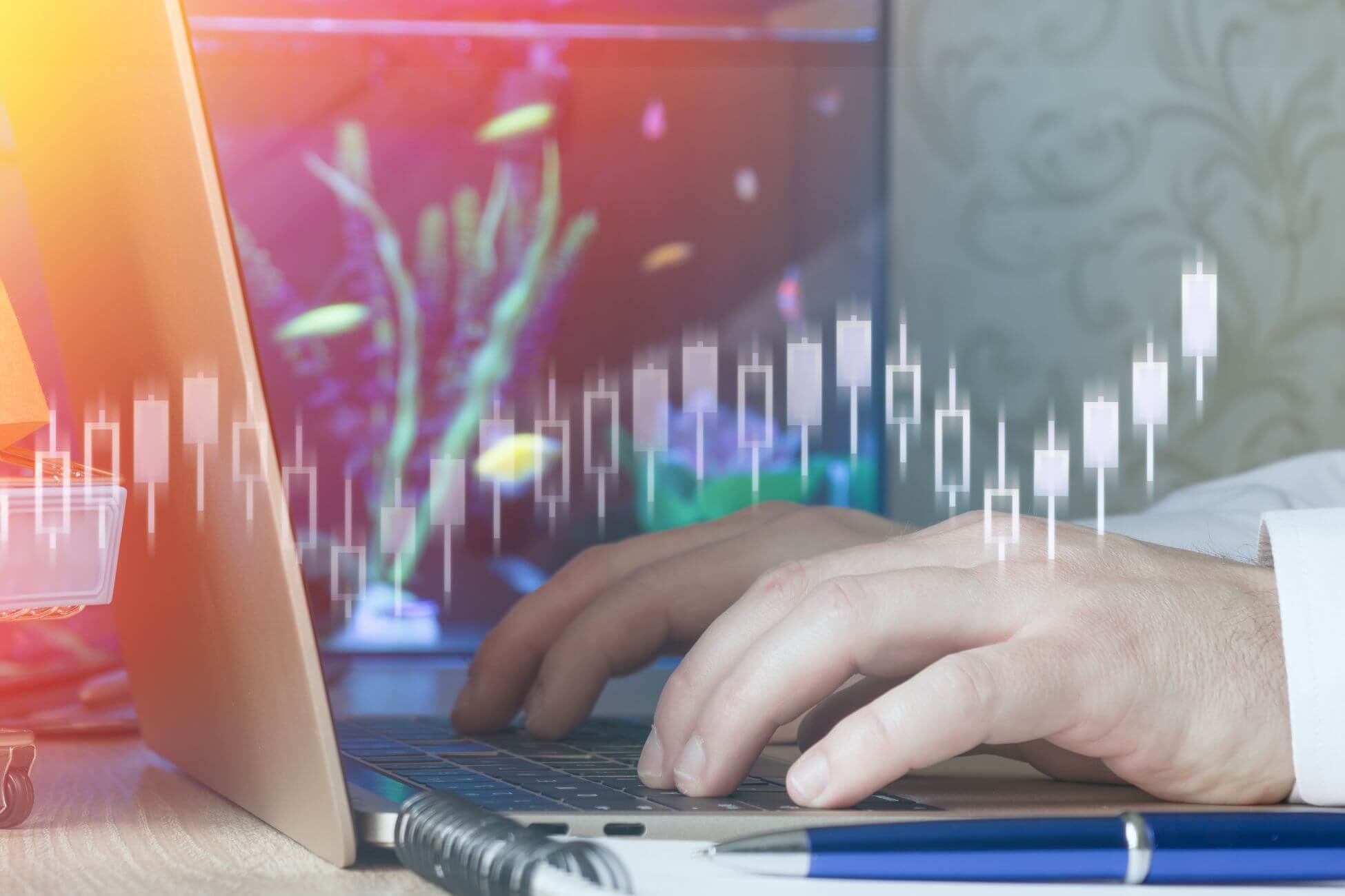 A picture shows a man's hand using a laptop.