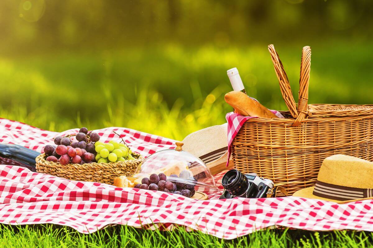 AN image shows picnic essentials.