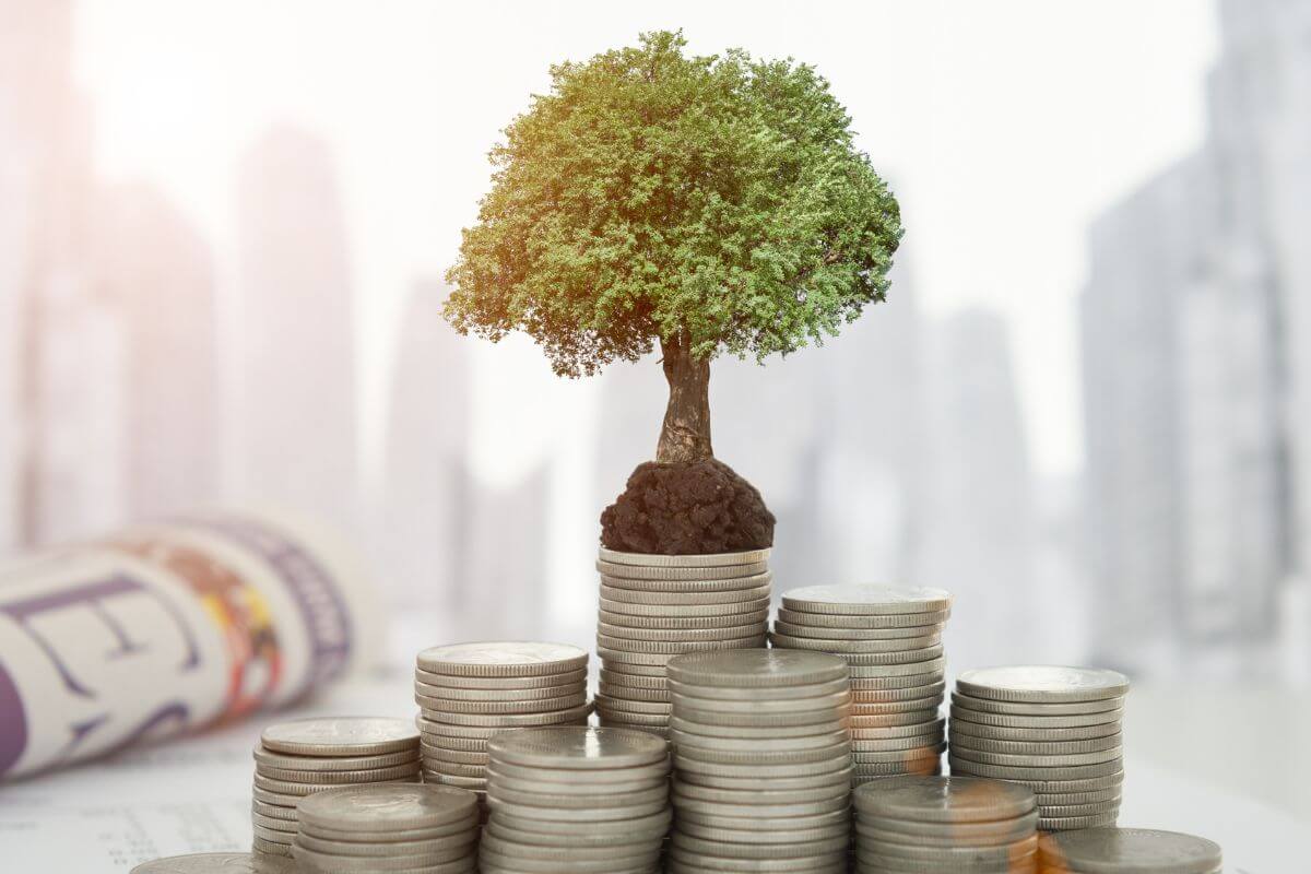 A photo of a growing investment. 