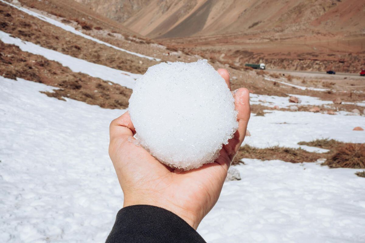 A picture of someone's snowball.