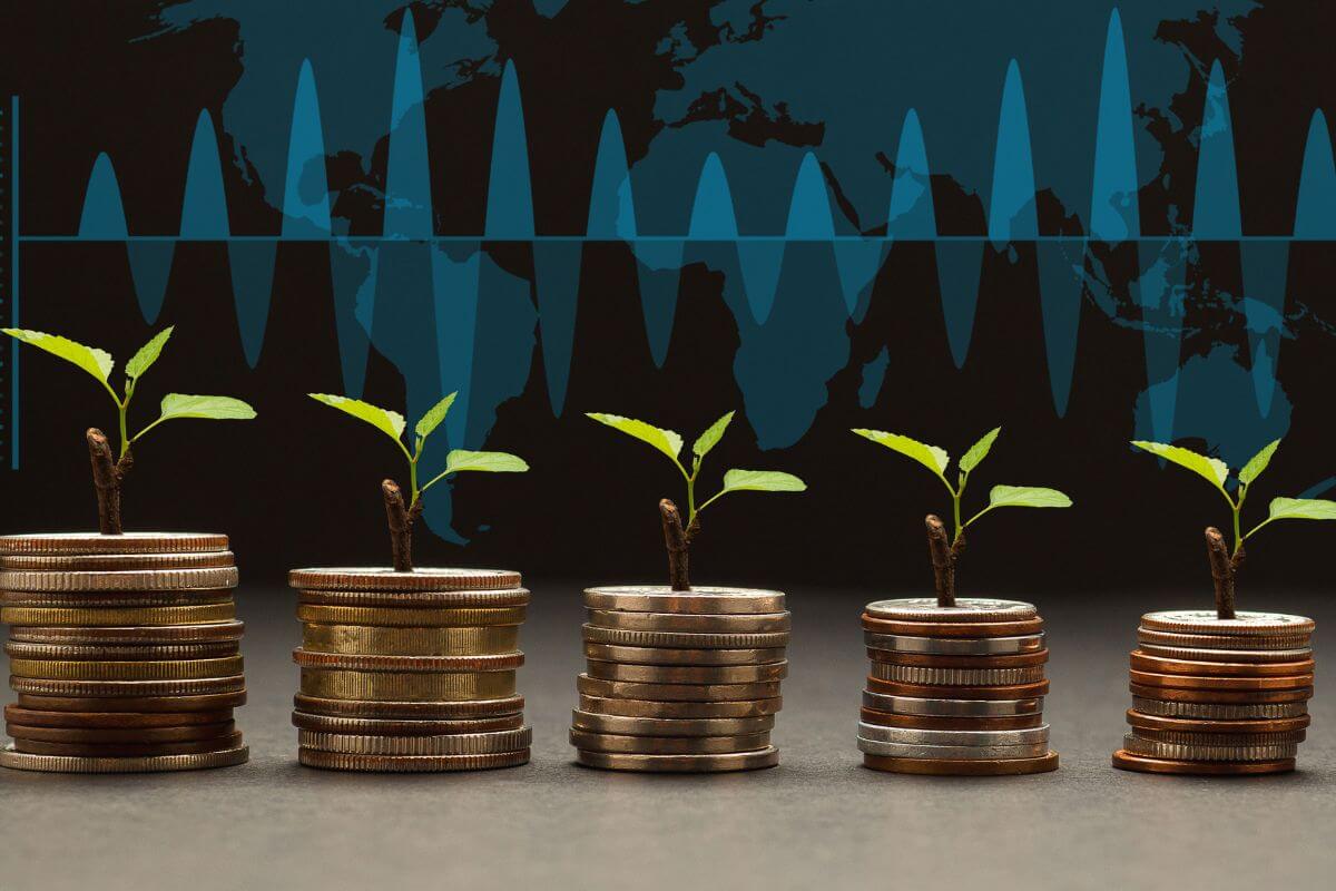 A picture of a growing investment.