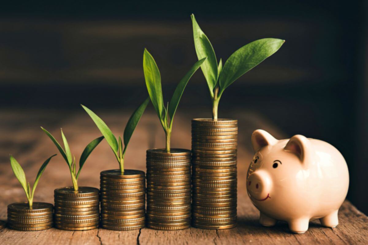 A picture of a growing investment.