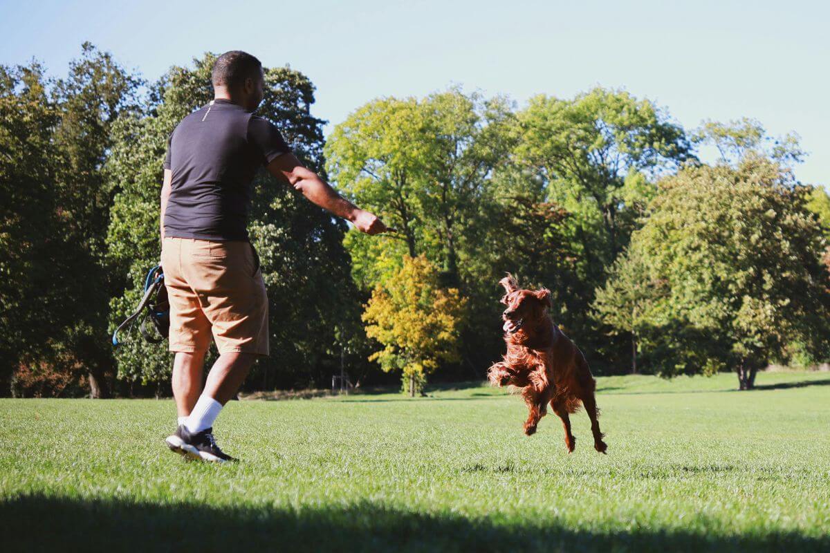 A picture of a man and his dog at a park.