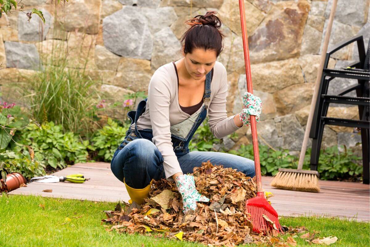 Une image montrant une femme faisant du jardinage.