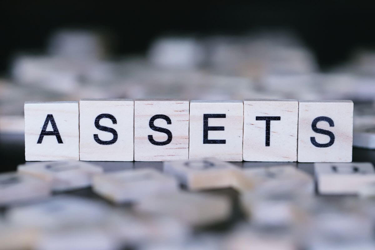 An image shows the assets wording on wooden cubes.