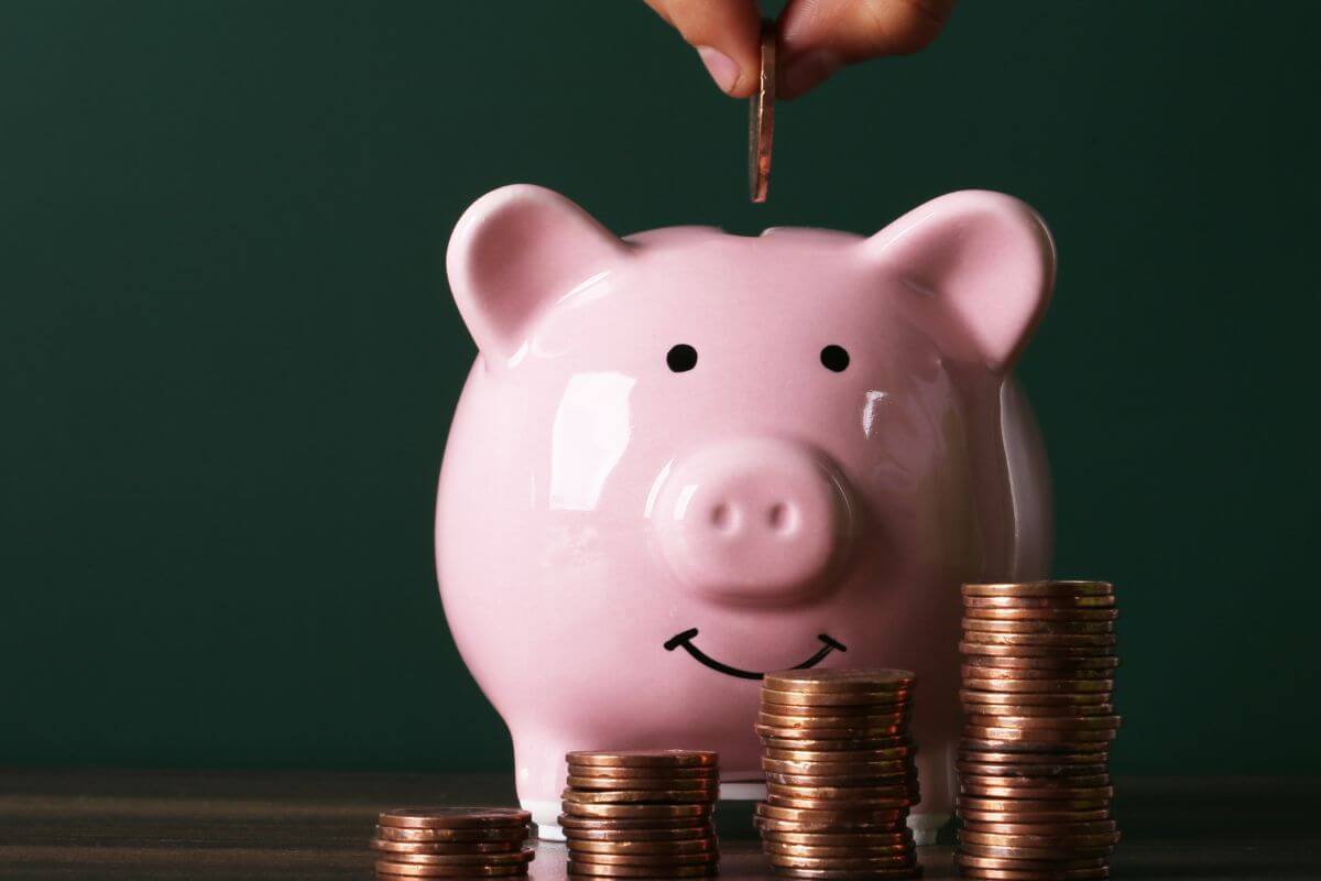 An image shows stacks of coins and a piggy bank.