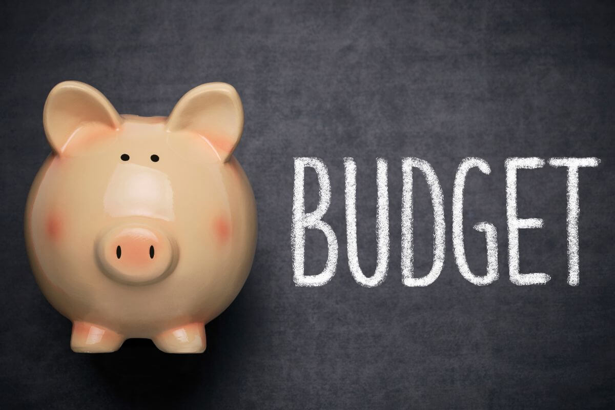 A imagem de um cofrinho e o texto do orçamento.